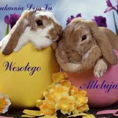 Idealne życzenia wielkanocne na Facebooka? Gotowe teksty i grafiki!