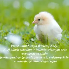 Idealne życzenia wielkanocne na Messenger? Skopiuj i zaskocz!