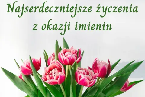 Najserdeczniejsze życzenia z okazji imienin Marka. Bukiet różowych tulipanów.