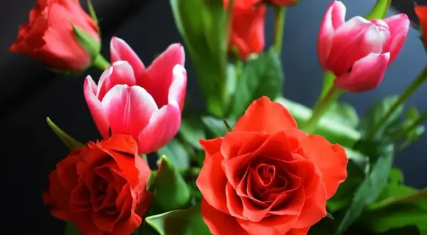 Bukiet czerwonych róż i różowych tulipanów, idealny na imieniny Magdaleny.
