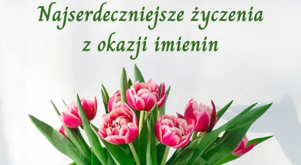 Najserdeczniejsze życzenia z okazji imienin Marka. Bukiet różowych tulipanów.