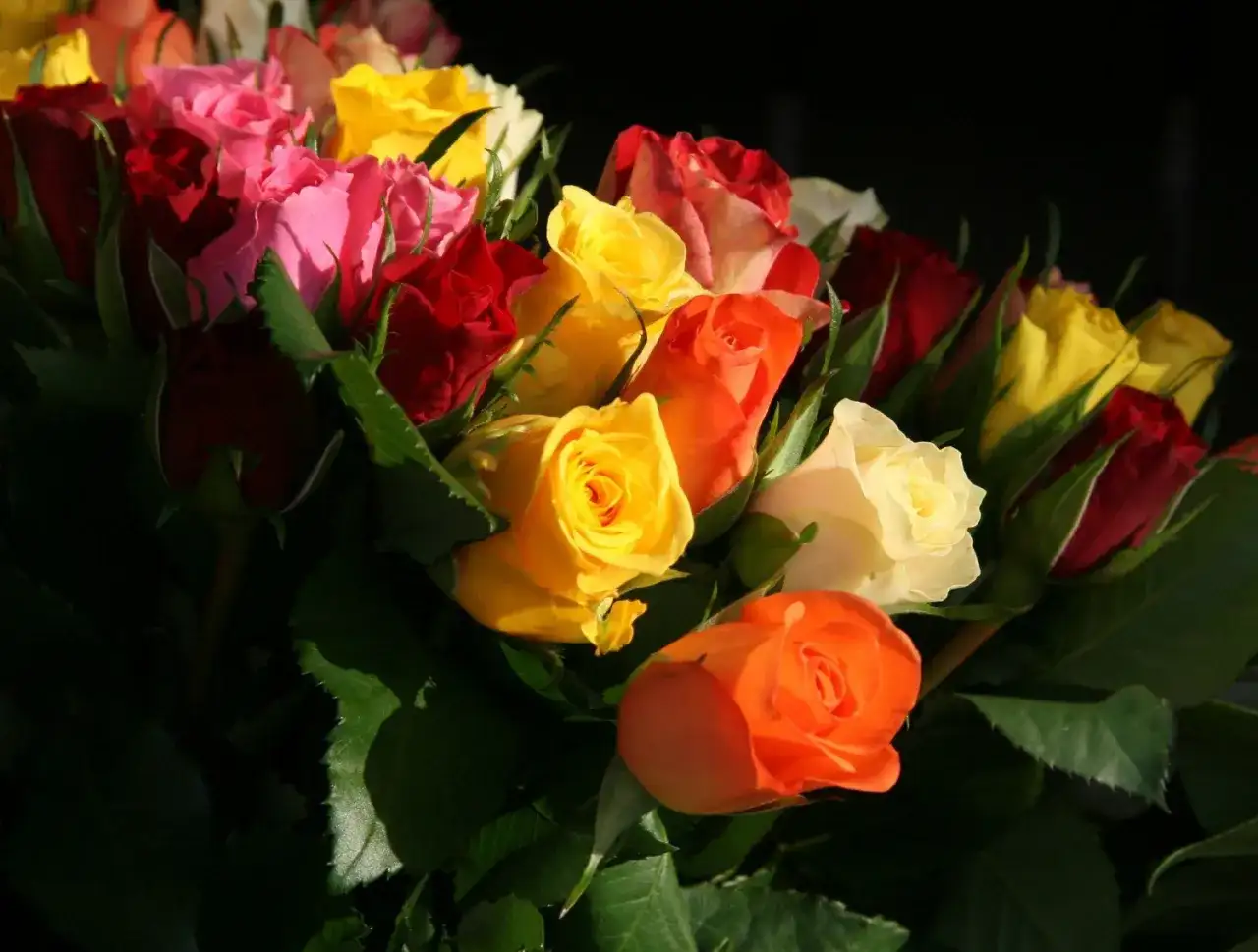 Imieniny Waldemara - daty, życzenia i prosty sposób na świętowanie